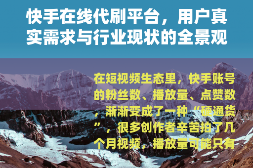 快手在线代刷平台，用户真实需求与行业现状的全景观察