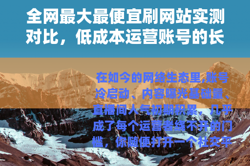全网最大最便宜刷网站实测对比，低成本运营账号的长期可行方案