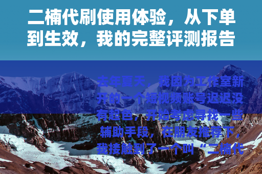 二楠代刷使用体验，从下单到生效，我的完整评测报告
