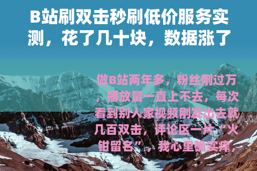 B站刷双击秒刷低价服务实测，花了几十块，数据涨了但账号差点废了