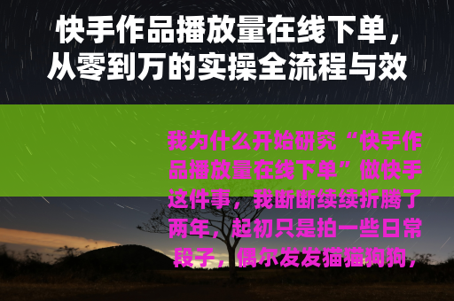 快手作品播放量在线下单，从零到万的实操全流程与效果深度测评