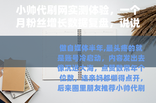 小帅代刷网实测体验，一个月粉丝增长数据复盘，说说我的真实感受