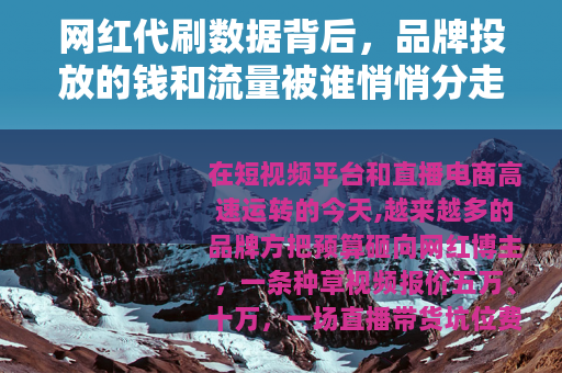 网红代刷数据背后，品牌投放的钱和流量被谁悄悄分走了