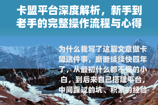 卡盟平台深度解析，新手到老手的完整操作流程与心得