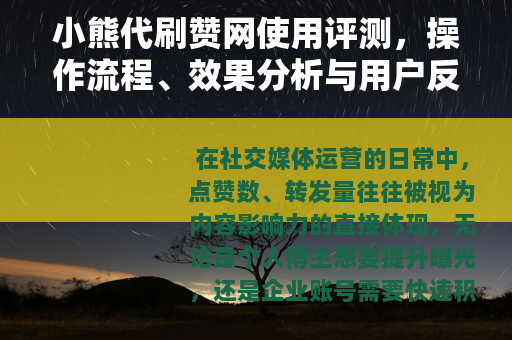 小熊代刷赞网使用评测，操作流程、效果分析与用户反馈全记录