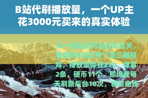 B站代刷播放量，一个UP主花3000元买来的真实体验与行业观察