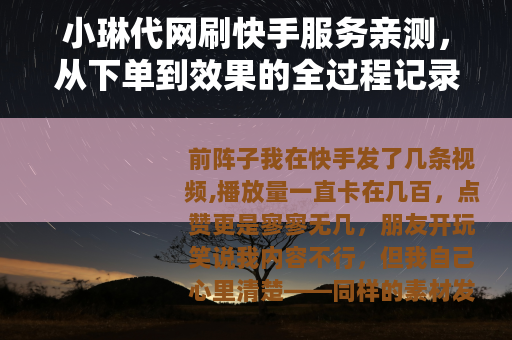 小琳代网刷快手服务亲测，从下单到效果的全过程记录