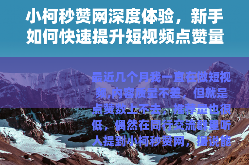 小柯秒赞网深度体验，新手如何快速提升短视频点赞量