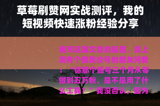 草莓刷赞网实战测评，我的短视频快速涨粉经验分享
