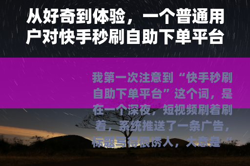 从好奇到体验，一个普通用户对快手秒刷自助下单平台的观察