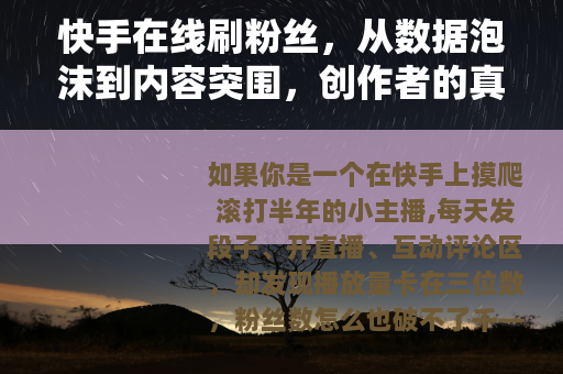 快手在线刷粉丝，从数据泡沫到内容突围，创作者的真实选择与代价