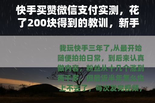 快手买赞微信支付实测，花了200块得到的教训，新手千万别跟风