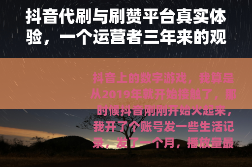 抖音代刷与刷赞平台真实体验，一个运营者三年来的观察与思考