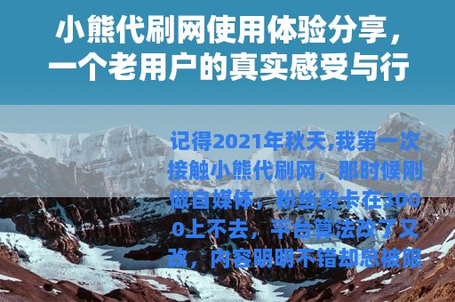 小熊代刷网使用体验分享，一个老用户的真实感受与行业观察