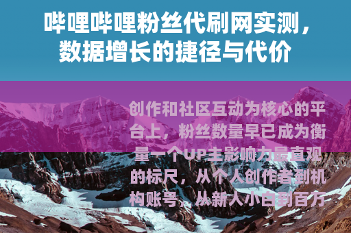 哔哩哔哩粉丝代刷网实测，数据增长的捷径与代价
