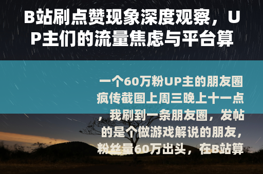 B站刷点赞现象深度观察，UP主们的流量焦虑与平台算法博弈