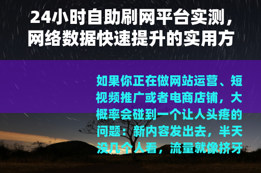 24小时自助刷网平台实测，网络数据快速提升的实用方法与效果分析