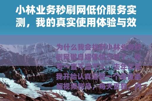 小林业务秒刷网低价服务实测，我的真实使用体验与效果分析