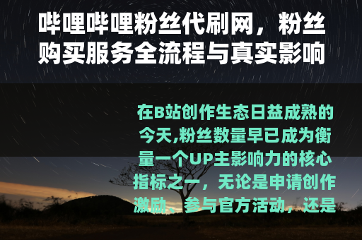 哔哩哔哩粉丝代刷网，粉丝购买服务全流程与真实影响分析