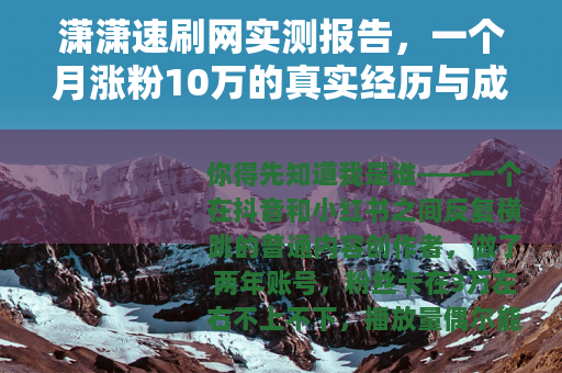 潇潇速刷网实测报告，一个月涨粉10万的真实经历与成本明细
