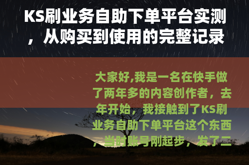 KS刷业务自助下单平台实测，从购买到使用的完整记录
