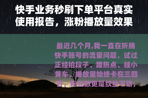 快手业务秒刷下单平台真实使用报告，涨粉播放量效果与操作全解析
