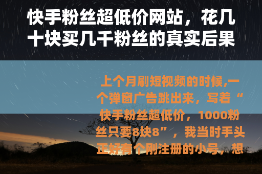 快手粉丝超低价网站，花几十块买几千粉丝的真实后果，我替你试过了