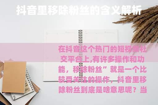 抖音里移除粉丝的含义解析