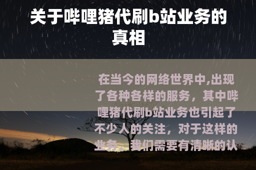 关于哔哩猪代刷b站业务的真相 关于哔哩猪代刷b站业务的真相