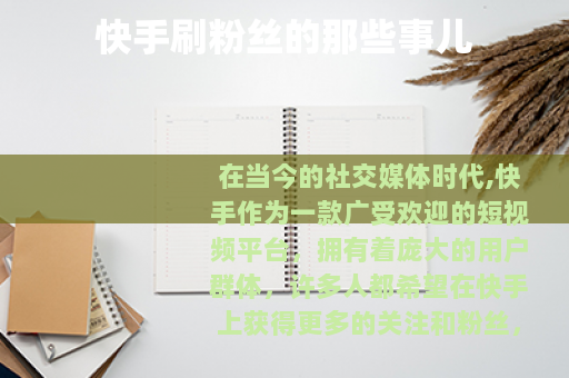 快手刷粉丝的那些事儿