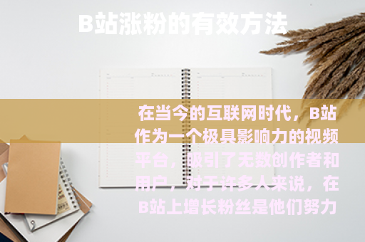 B站涨粉的有效方法