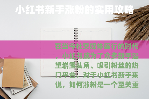 小红书新手涨粉的实用攻略