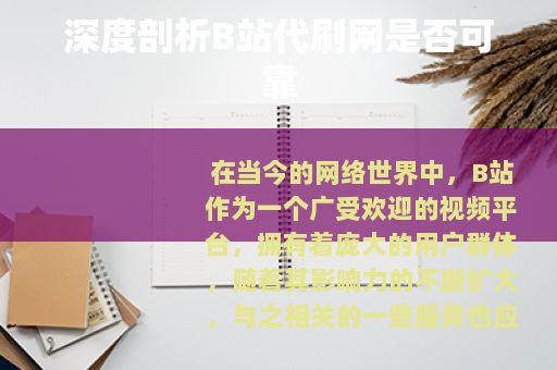 深度剖析B站代刷网是否可靠