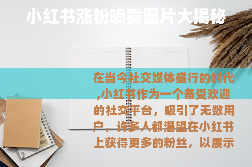 小红书涨粉喷雾图片大揭秘