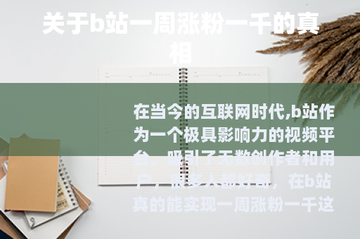 关于b站一周涨粉一千的真相