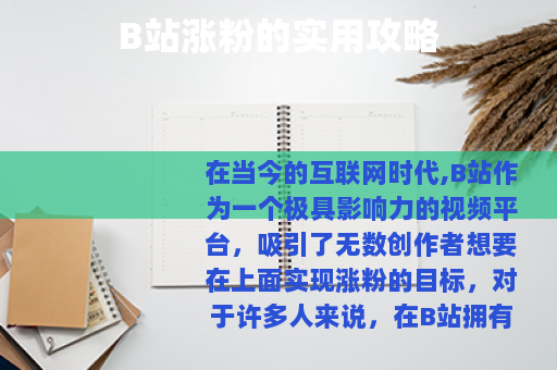 B站涨粉的实用攻略