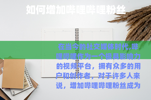 如何增加哔哩哔哩粉丝