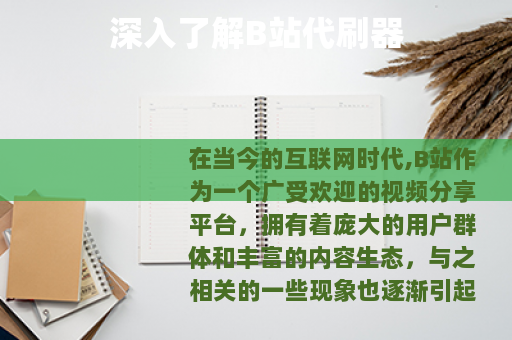 深入了解B站代刷器