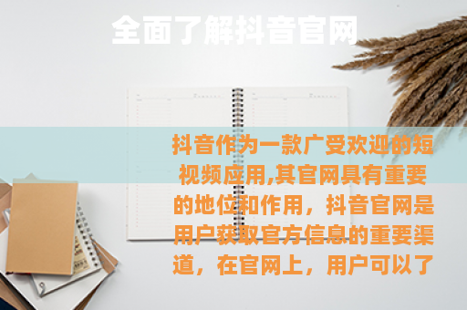 全面了解抖音官网