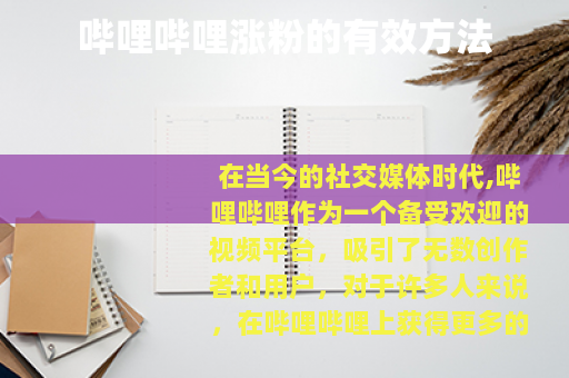 哔哩哔哩涨粉的有效方法 哔哩哔哩涨粉的有效方法