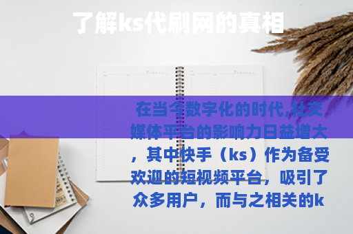 了解ks代刷网的真相