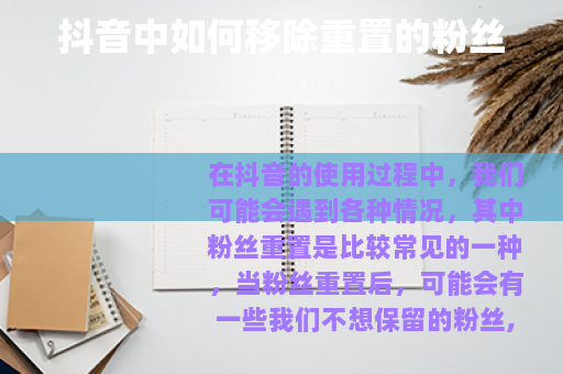 抖音中如何移除重置的粉丝