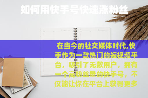 如何用快手号快速涨粉丝