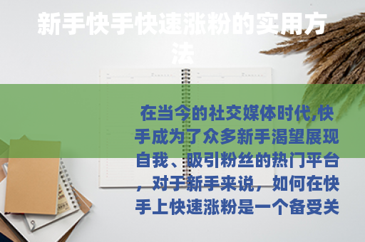 新手快手快速涨粉的实用方法