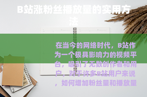 B站涨粉丝播放量的实用方法