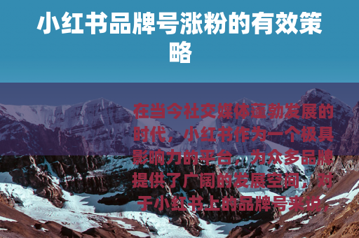 小红书品牌号涨粉的有效策略