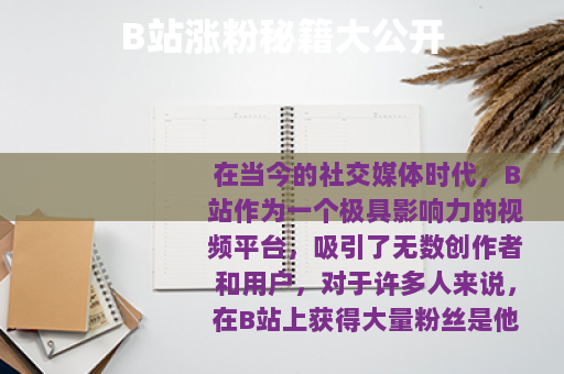 B站涨粉秘籍大公开