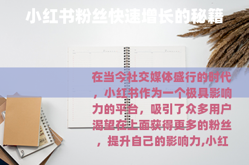 小红书粉丝快速增长的秘籍