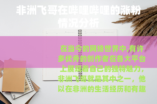 非洲飞哥在哔哩哔哩的涨粉情况分析