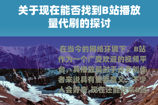 关于现在能否找到B站播放量代刷的探讨
